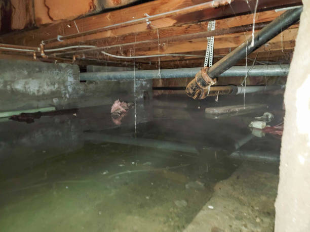  San Pablo, NM Water damage restoration Pros