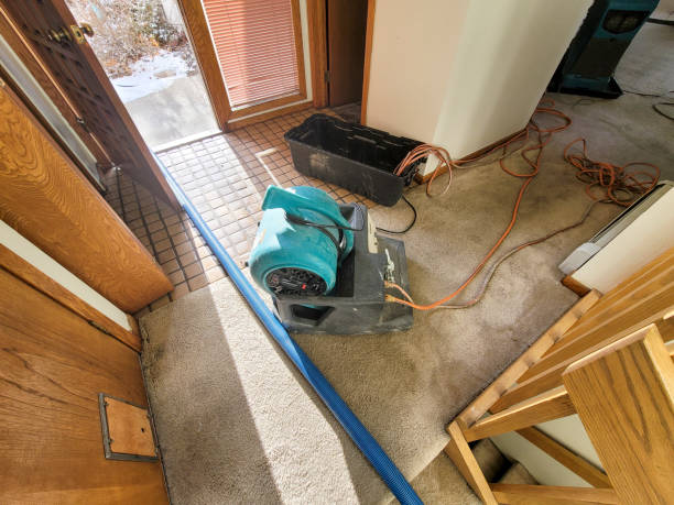 Best Water damage restoration insurance claims  in San Pablo, NM