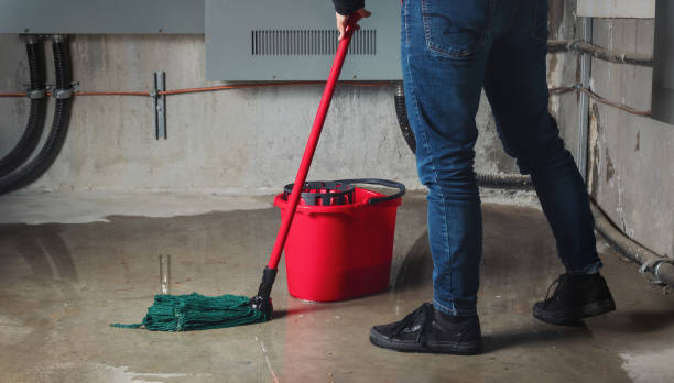 Best Flood restoration services  in San Pablo, NM