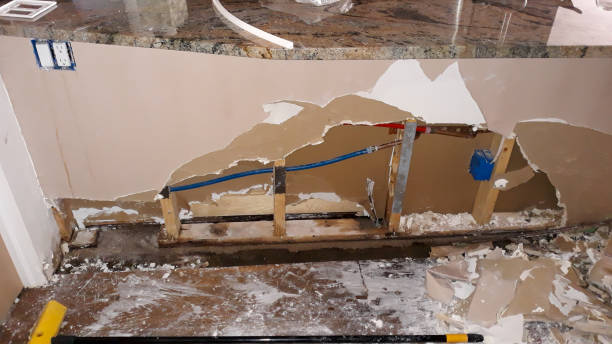 Best Professional water damage repair  in San Pablo, NM